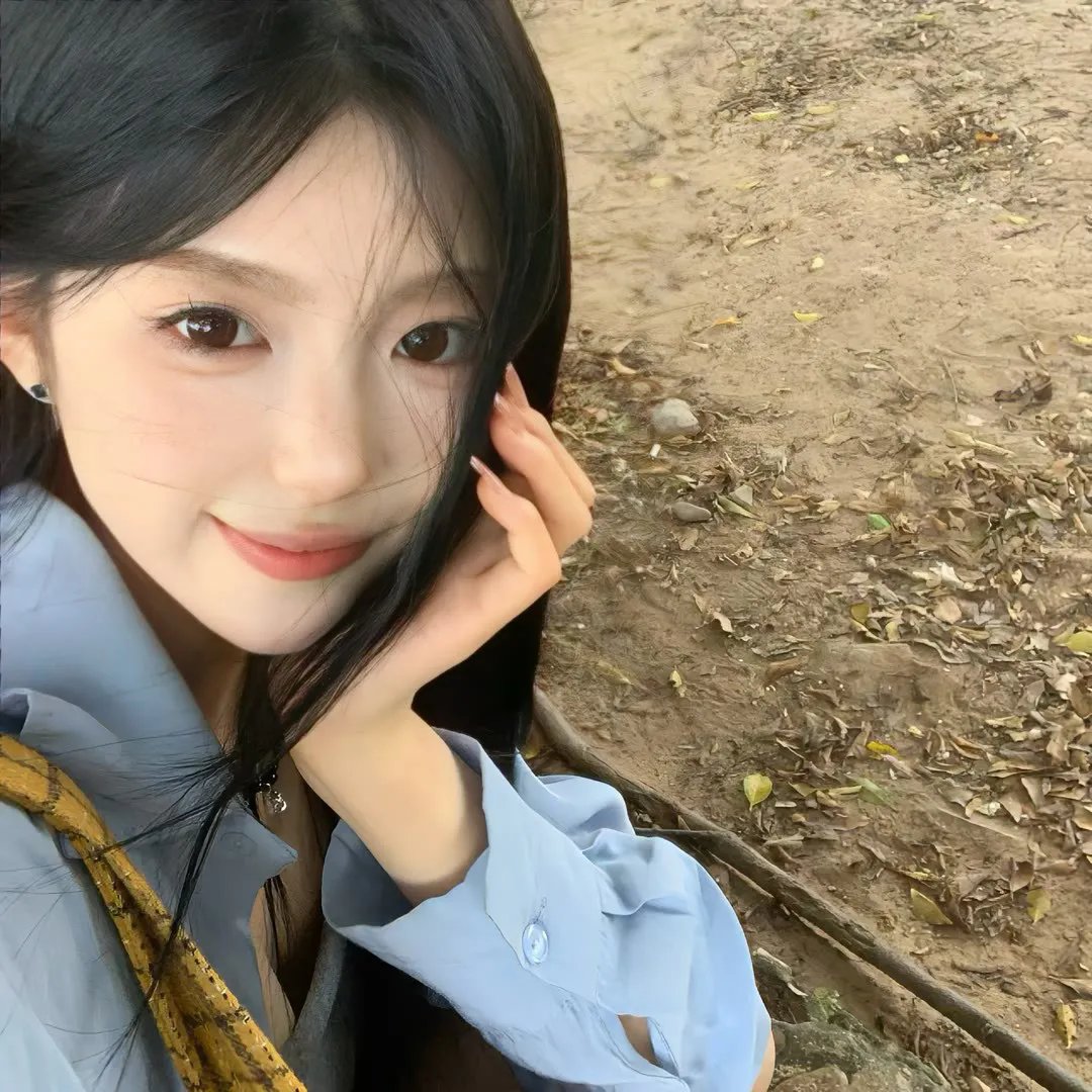 与鲨鱼游弋